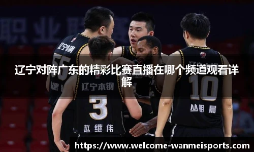 辽宁对阵广东的精彩比赛直播在哪个频道观看详解